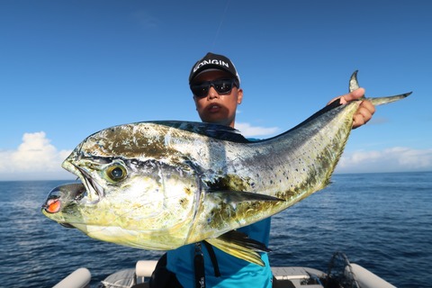 20200827074610_IMG_9977