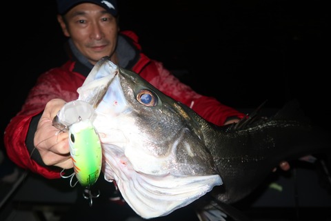 20221115003805_IMG_3320