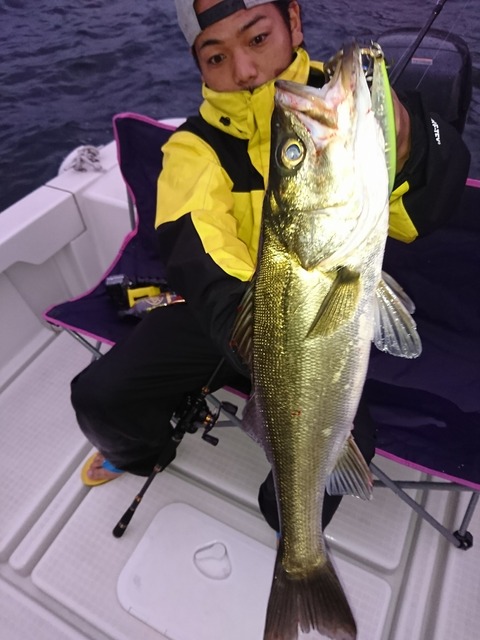 [画像:8f6cc8fe-s.jpg]