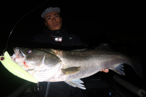 sketch-1698435639298