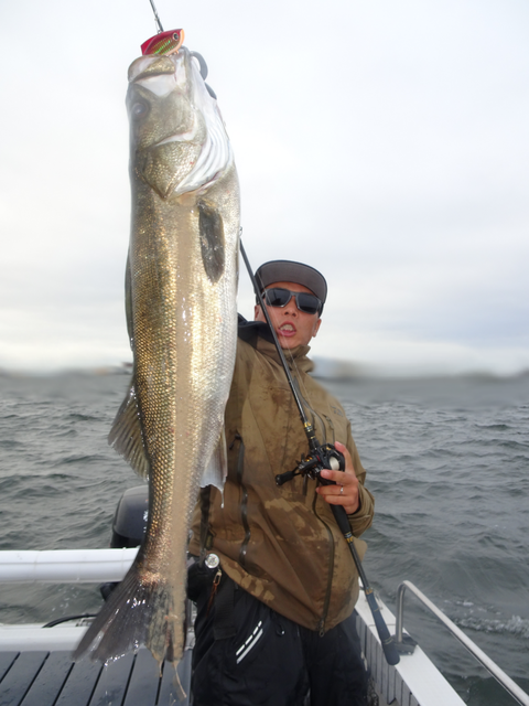 sketch-1562565186208