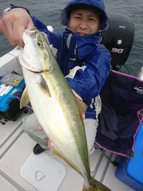 [画像:90317227-s.jpg]