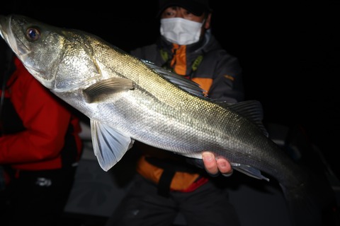 20200323205447_IMG_8086