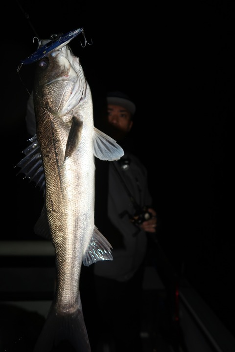 20200304192511_IMG_7861