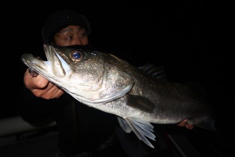 20200301000132_IMG_7827