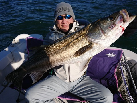 [画像:917f93e5-s.jpg]