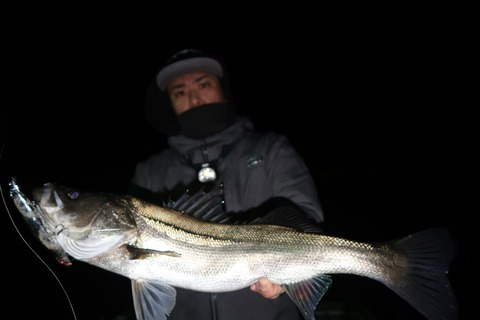 20200309224852_IMG_7911