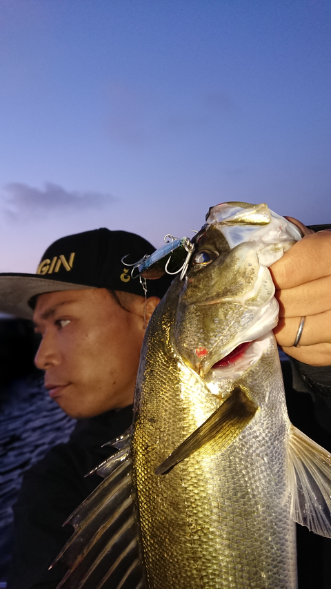 sketch-1528159268715