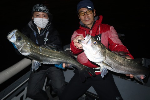 20221114233624_IMG_3283