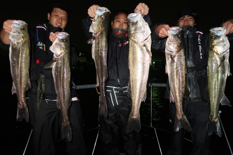 20201007222021_IMG_0472