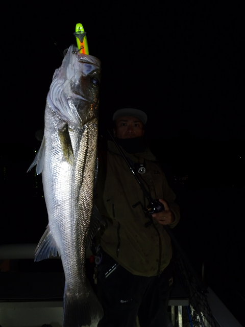 sketch-1572973546166