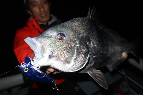 20221109004328_IMG_3086