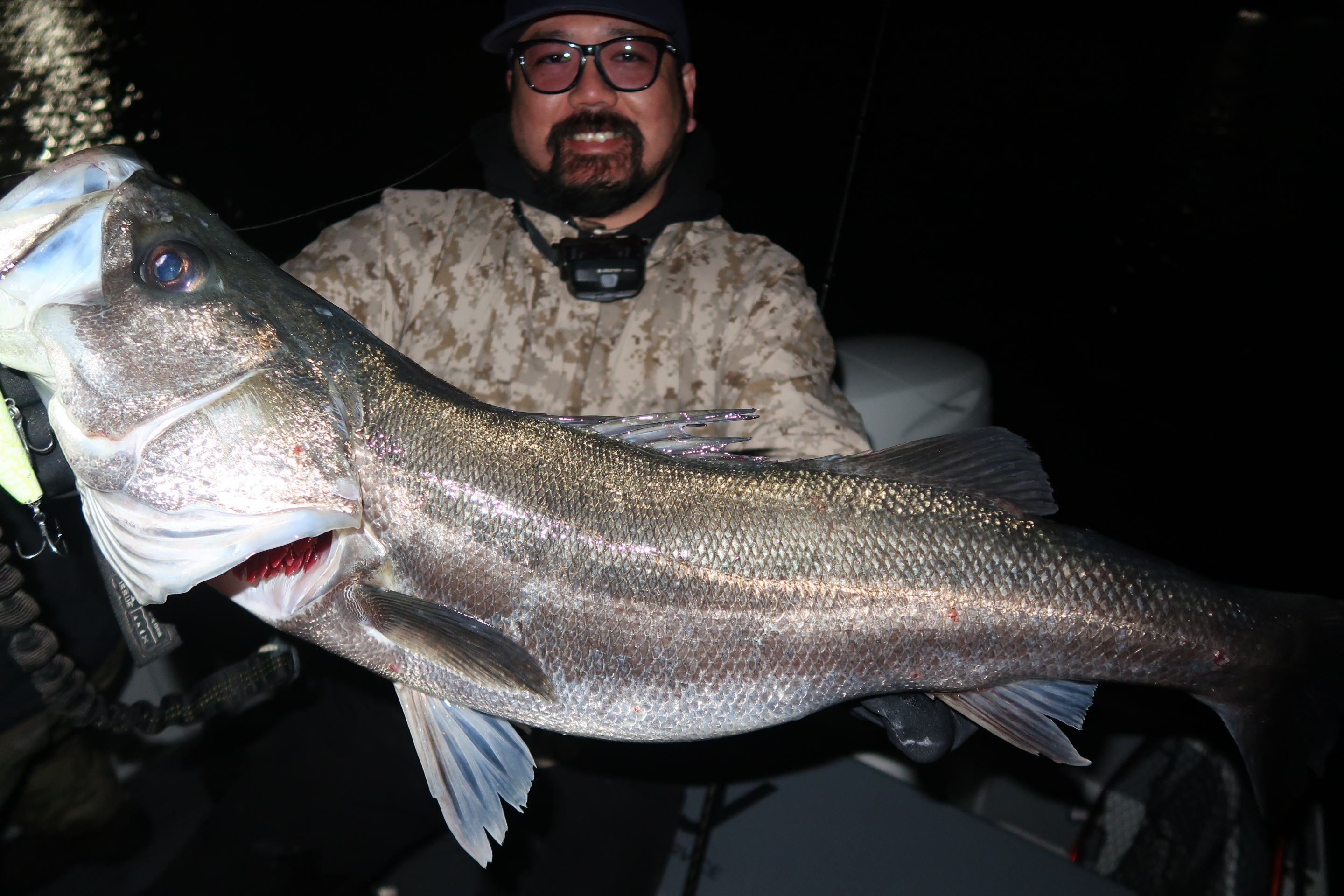 12月4日〜5日釣果情報！！ : TOKYOBAY FISHING GUIDE SERVICE Glory