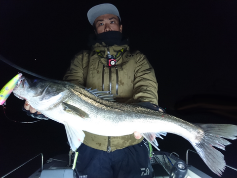 sketch-1543160399184