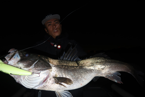 sketch-1700758801907