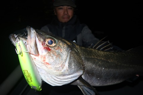 20221118195801_IMG_3392