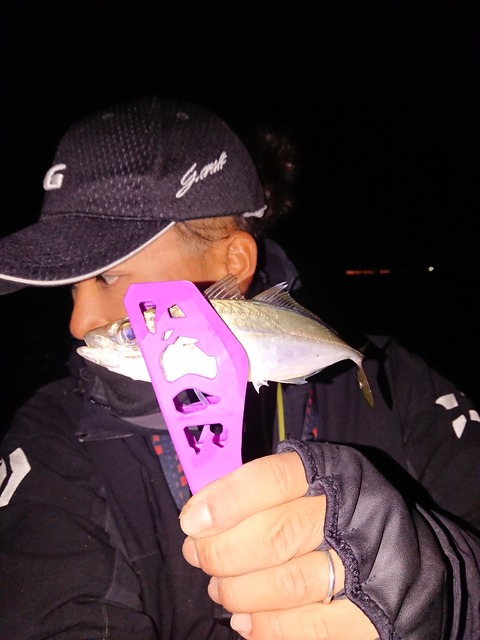 [画像:96255fb8-s.jpg]