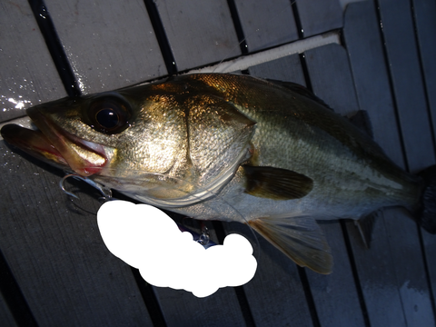 sketch-1564543333327