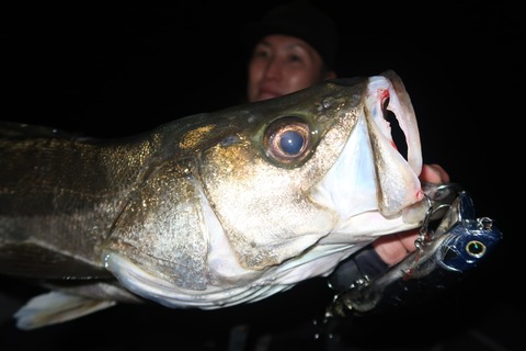 20231026232657_IMG_8214