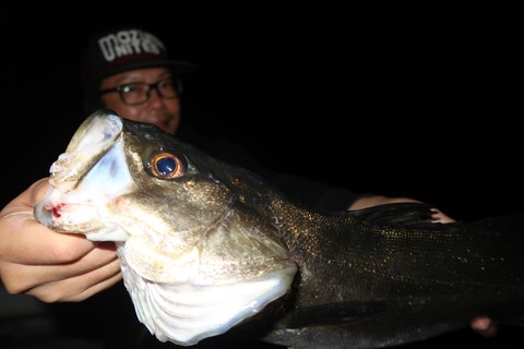 20200502002527_IMG_8651