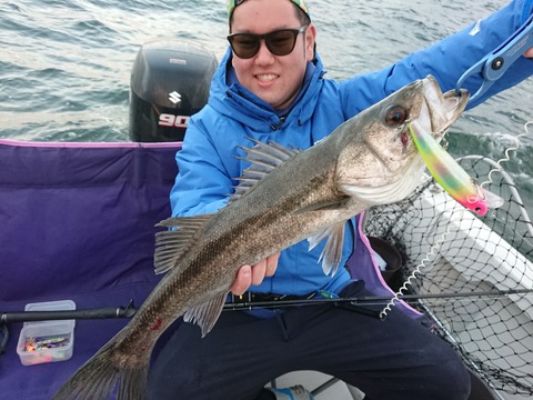 [画像:973c9d15-s.jpg]