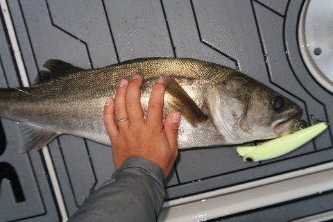 20201011172204_IMG_0505