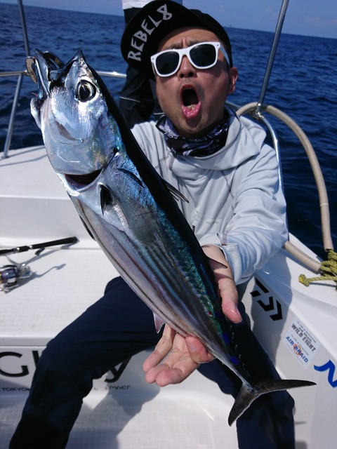 [画像:977210f0-s.jpg]