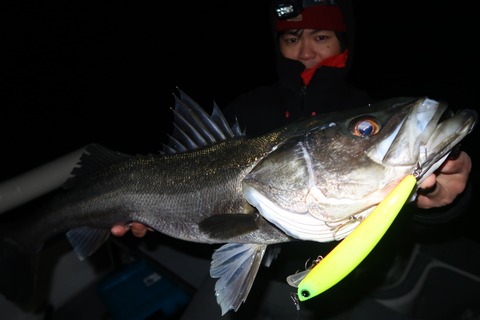 20220220202449_IMG_9732