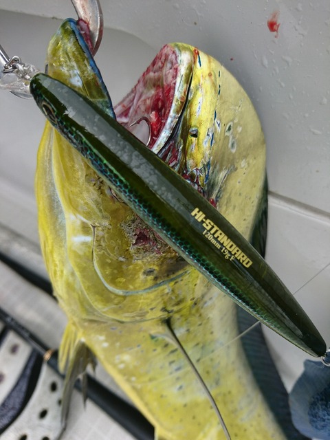 [画像:97fe9e13-s.jpg]