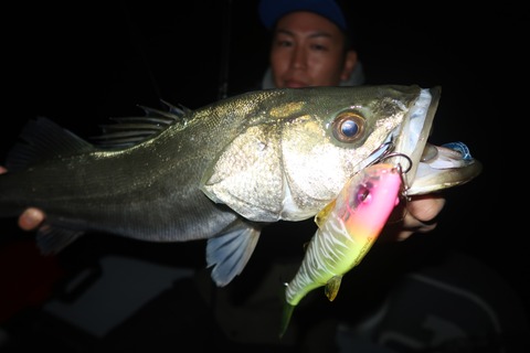 20231028004258_IMG_8242