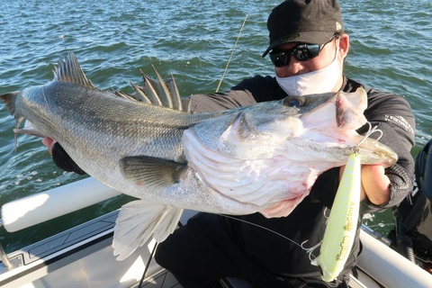 20201025150219_IMG_0851