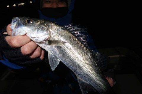 20230131030002_IMG_4721