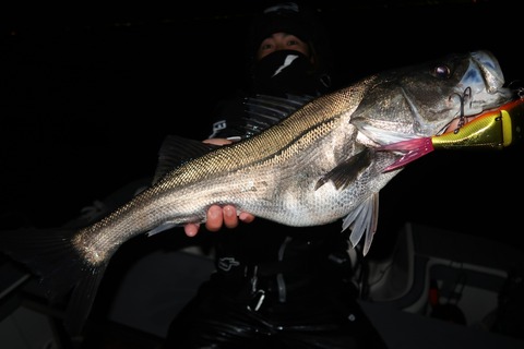 20200314025558_IMG_7960