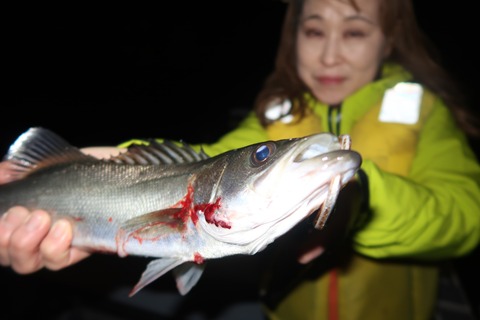 20231028223810_IMG_8250