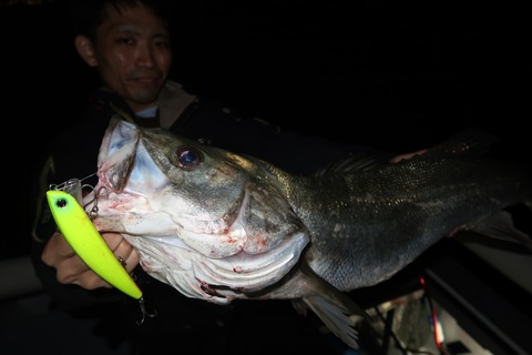 20221023003213_IMG_2661