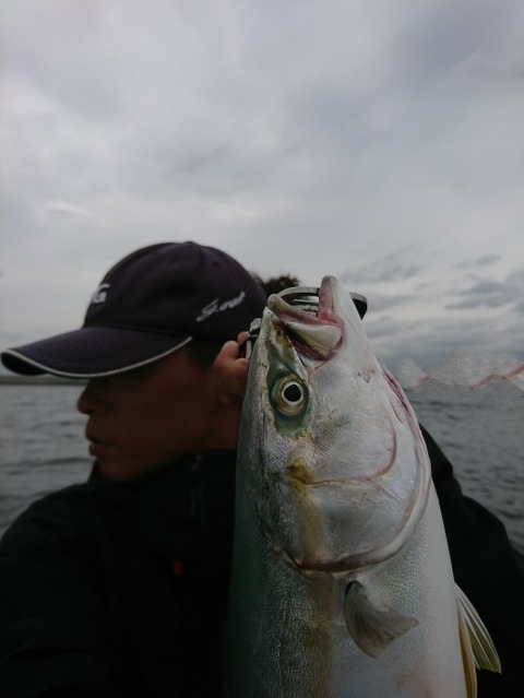 [画像:9b4cc27a-s.jpg]