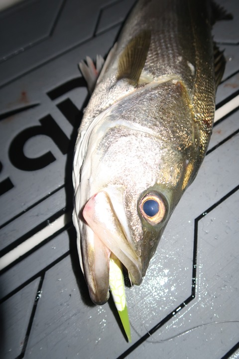 20201003220537_IMG_0358