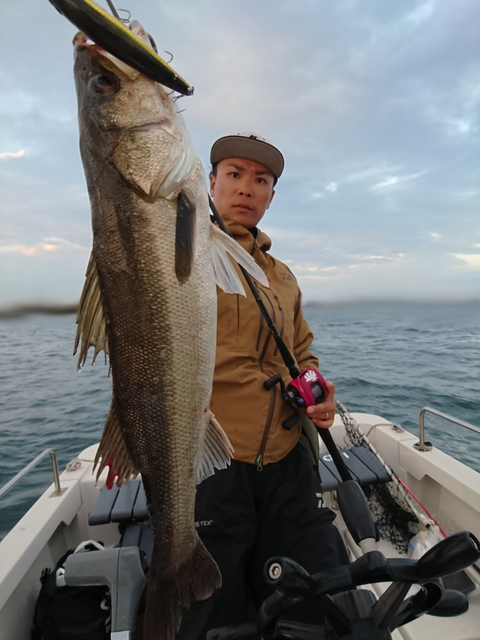 sketch-1541850695317