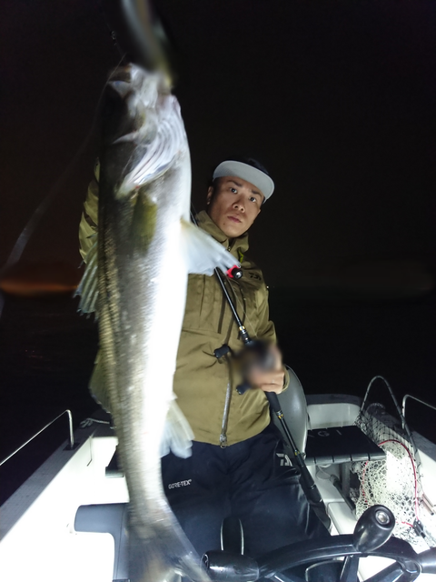 sketch-1542038464511