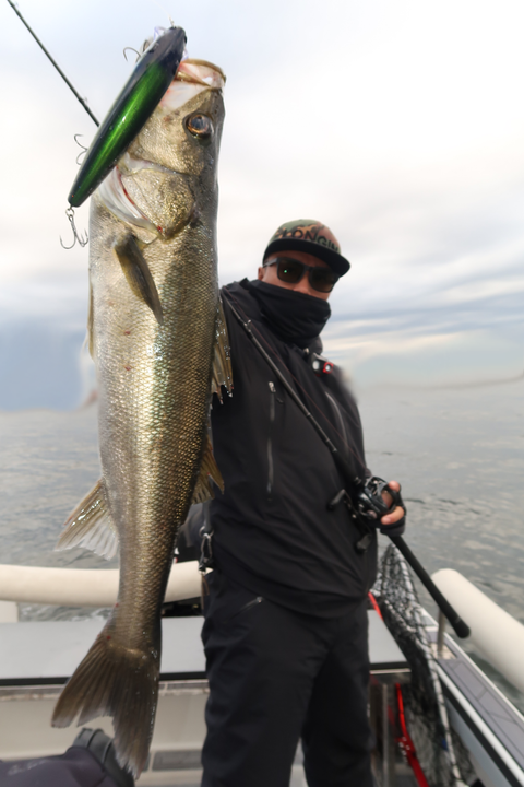 sketch-1666593776258