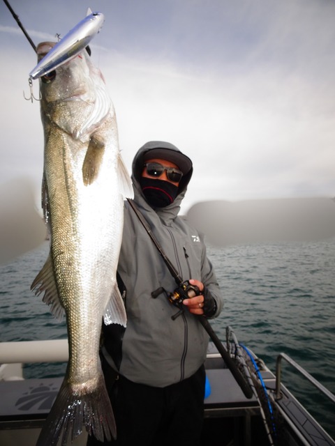 ぼかし丸_20191215_181016