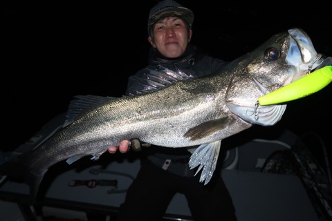 20221215011626_IMG_4133