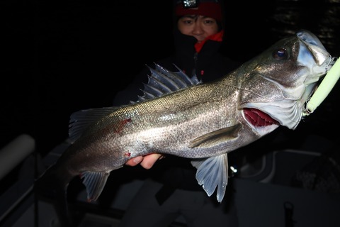 20220220194356_IMG_9715