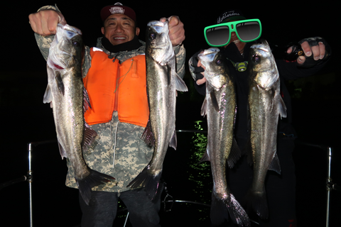 sketch-1583960237485