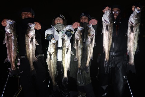 20200301013545_IMG_7828