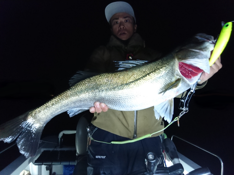 sketch-1542207345180