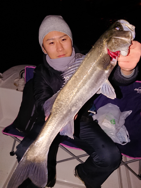 sketch-1517954851724