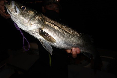 20200524213330_IMG_9013