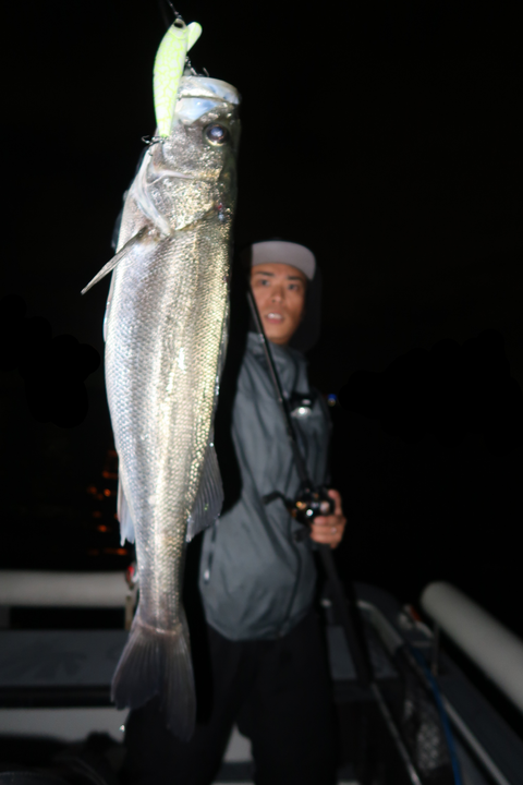 sketch-1603482117252