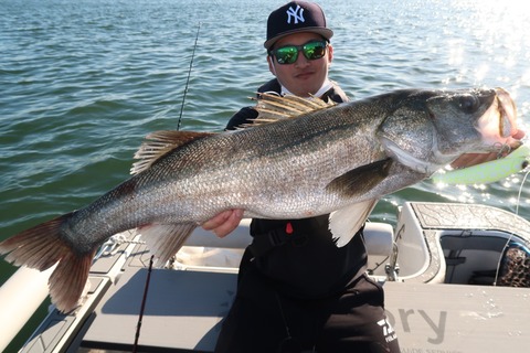 20201025143118_IMG_0841